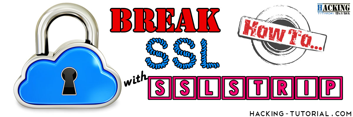 Break SSL Protection Using SSLStrip and Backtrack 5