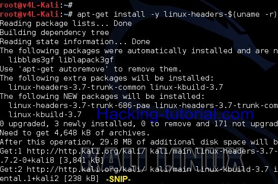 3 Steps How to Change Kali Linux Screen Resolution on Virtual Box