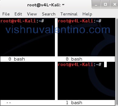 Split Kali Linux Terminal Window