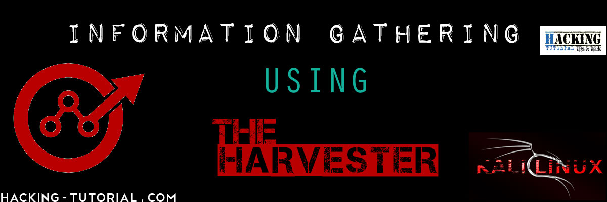 Information Gathering using theHarvester in Kali Linux