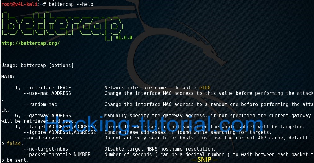 3 Steps GMail MITM Hacking Using Bettercap