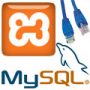 How to Make XAMPP MySQL Database Accessible by Network