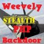 PHP Web Shell and Stealth Backdoor : Weevely 2