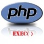 PHP Exec for Executing a Program or Even Hacking?