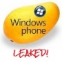 Windows Phone 7.5: Slurp This Leak at Your Phone Risk