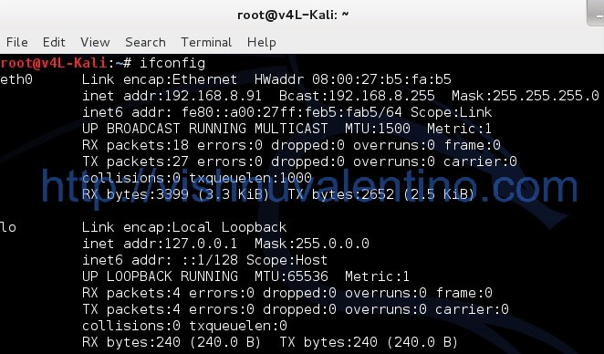 How to Enable the Network in Kali Linux Virtual Box?