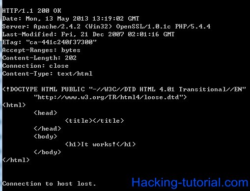 how to use telnet to hack website